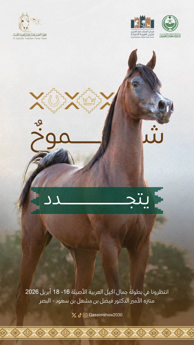 بطولة القصيم لجمال الخيل العربية tweet media