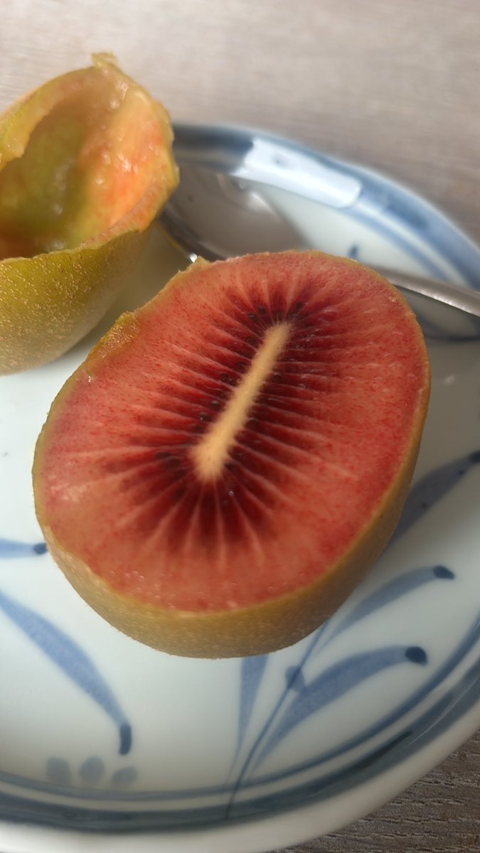 Masa@Auckland tweet media