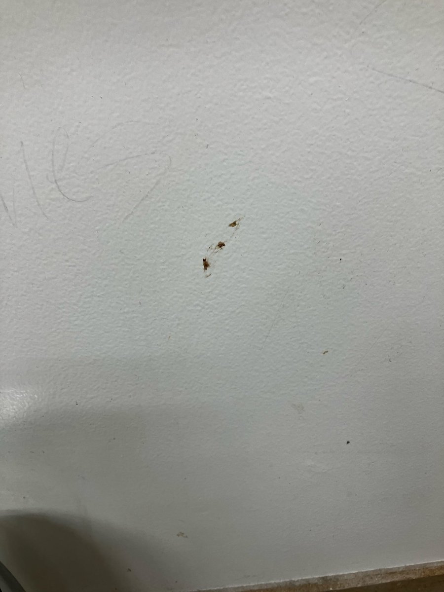 If Your Reading This, Your STUPID! tweet media