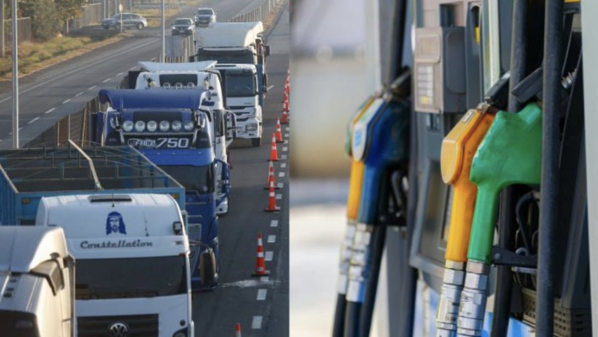 RedMaule tweet media