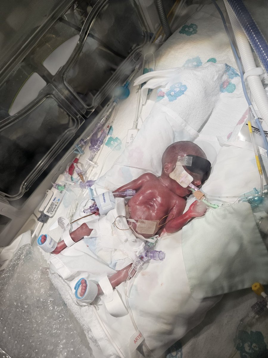 Name cannot be blank. tweet media