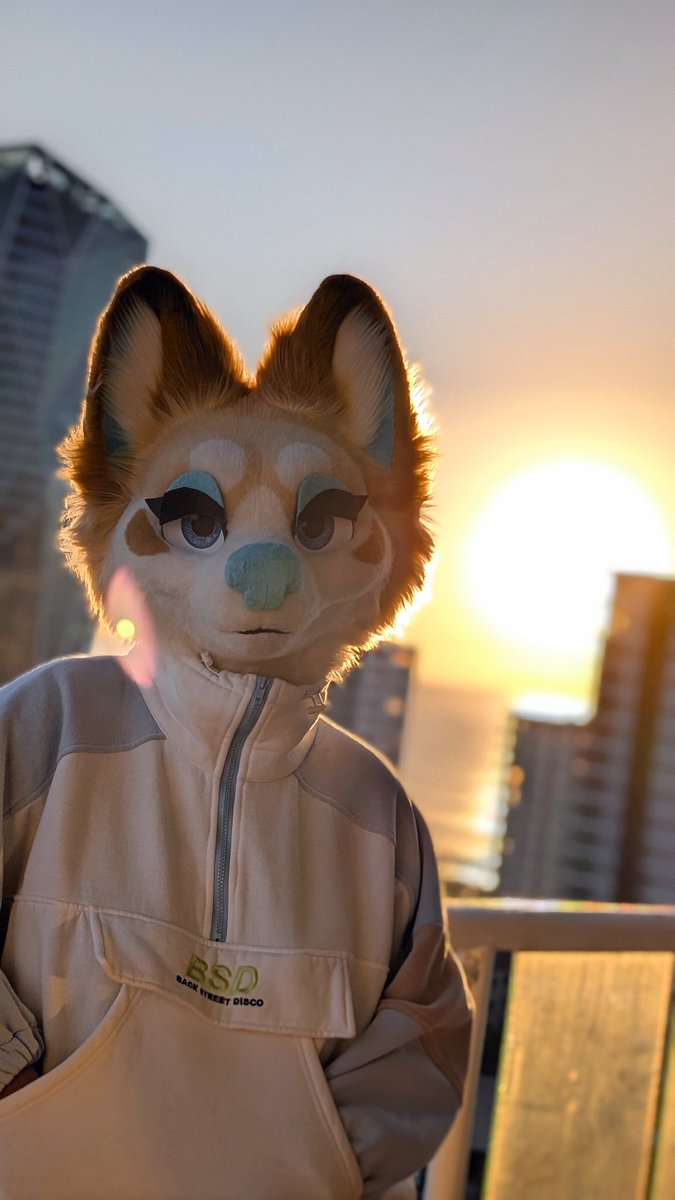 KOINU 🔜 FURDU tweet media