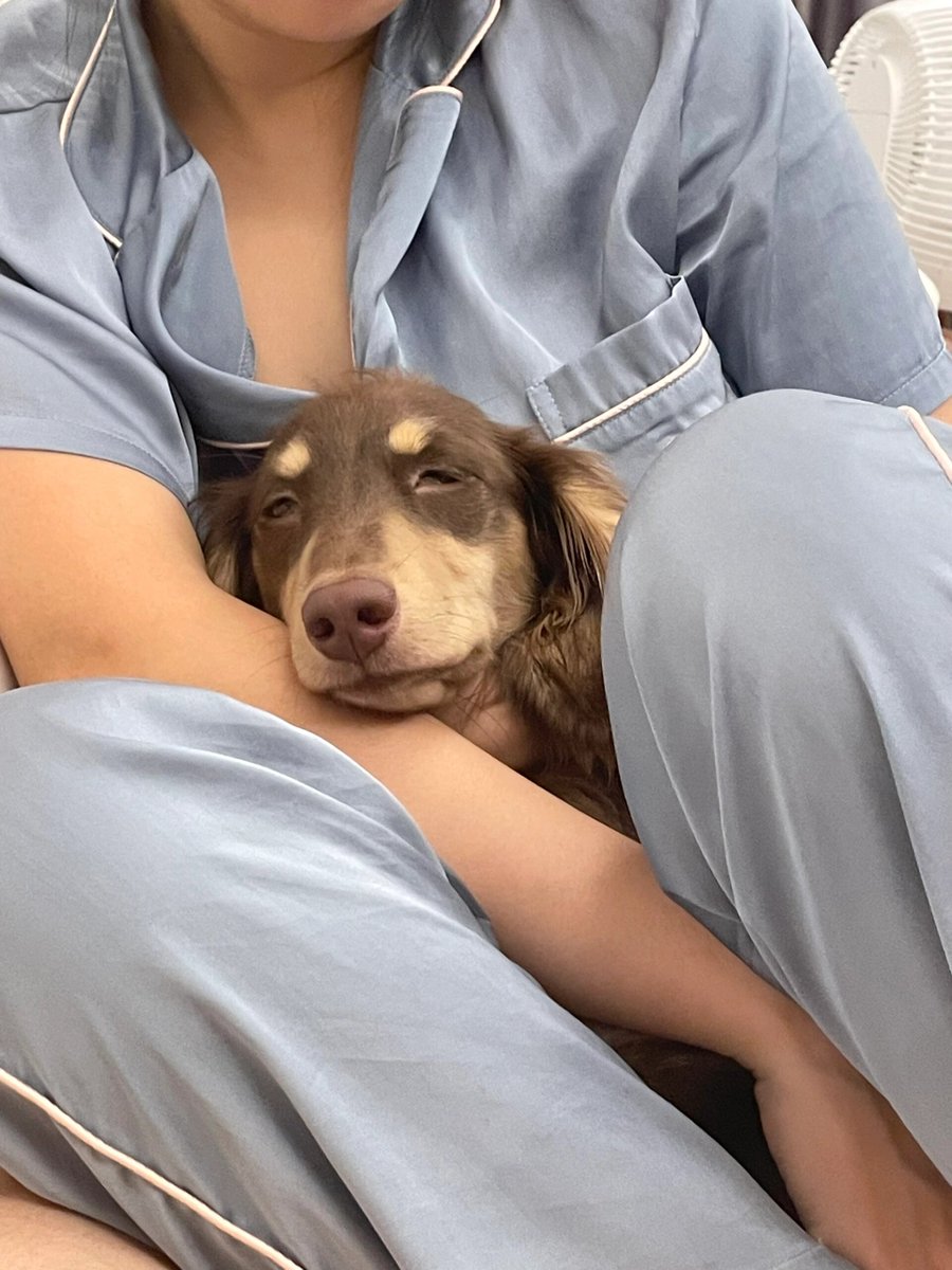 electroad tweet media