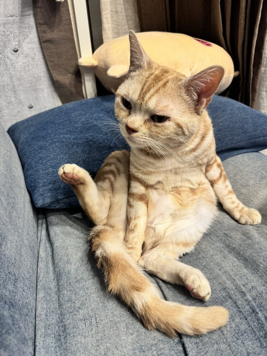 遠野つき 汝々艶谷九店③ tweet media