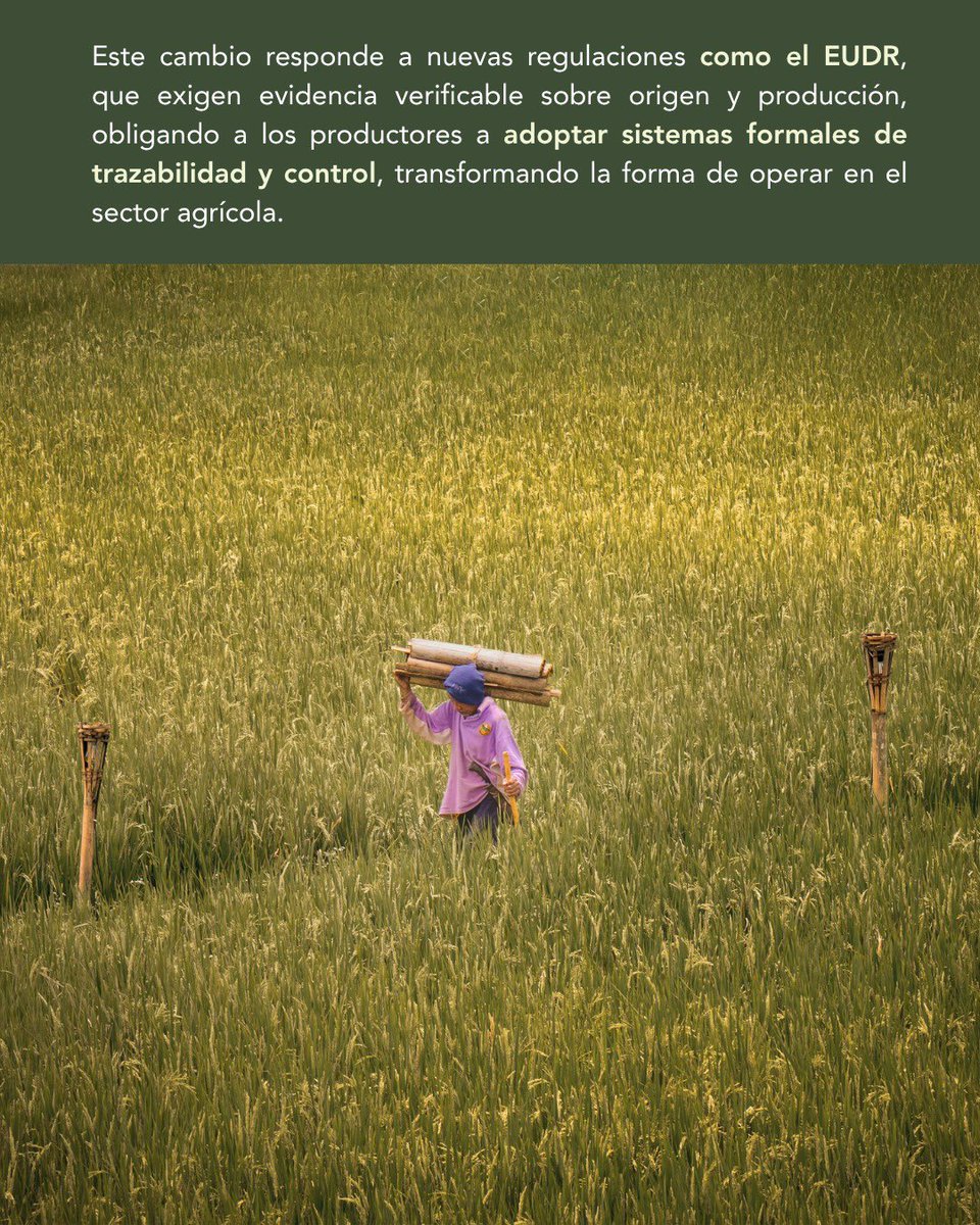 Postgrado UEES tweet media