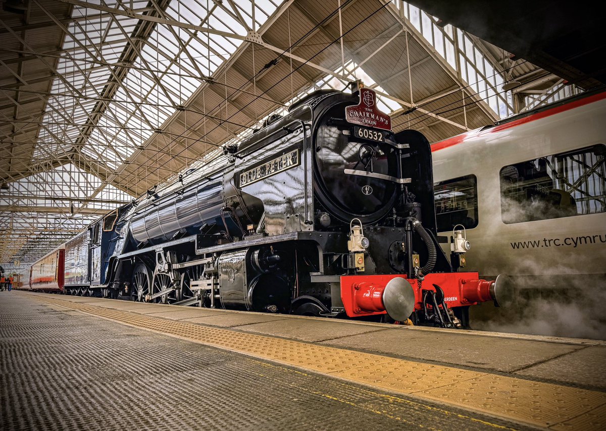 Sarah (Sydney Bridge TMD) 🐝🇺🇦 tweet media