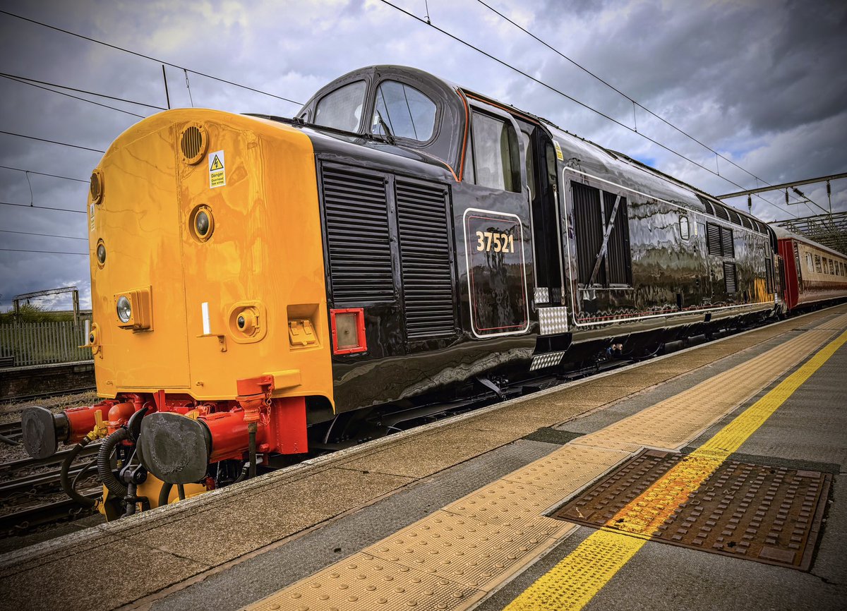 Sarah (Sydney Bridge TMD) 🐝🇺🇦 tweet media