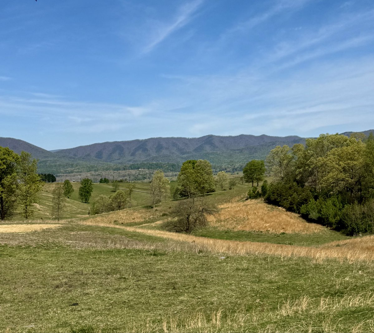 The Appalachian Podcast tweet media