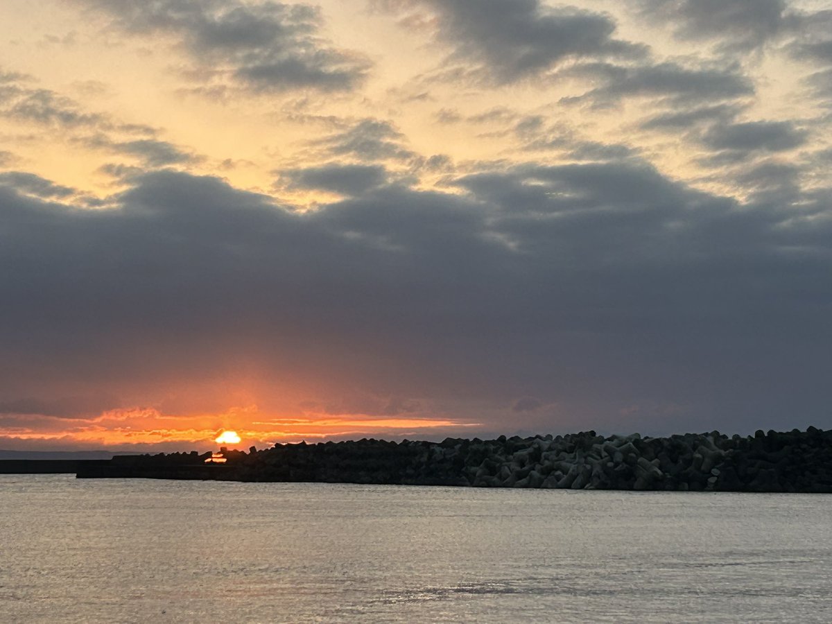 のっぽ tweet media