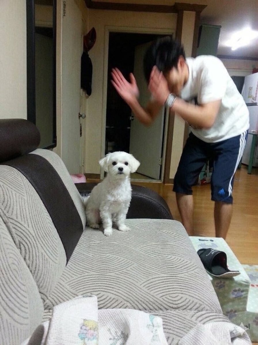 chavune's tweet photo. 이거올리세 https://t.co/cLwdNWsAYP