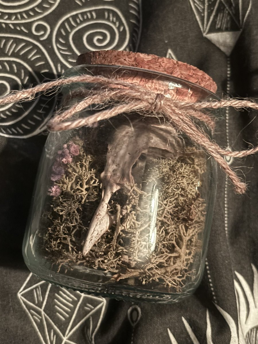 .⋆♱ 𝐄𝐧𝐟𝐞𝐫. ✮ tweet media