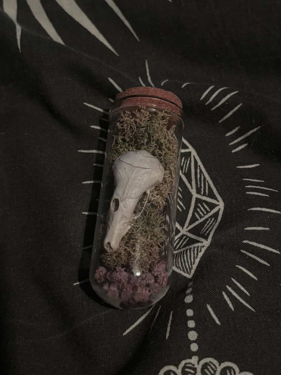 .⋆♱ 𝐄𝐧𝐟𝐞𝐫. ✮ tweet media