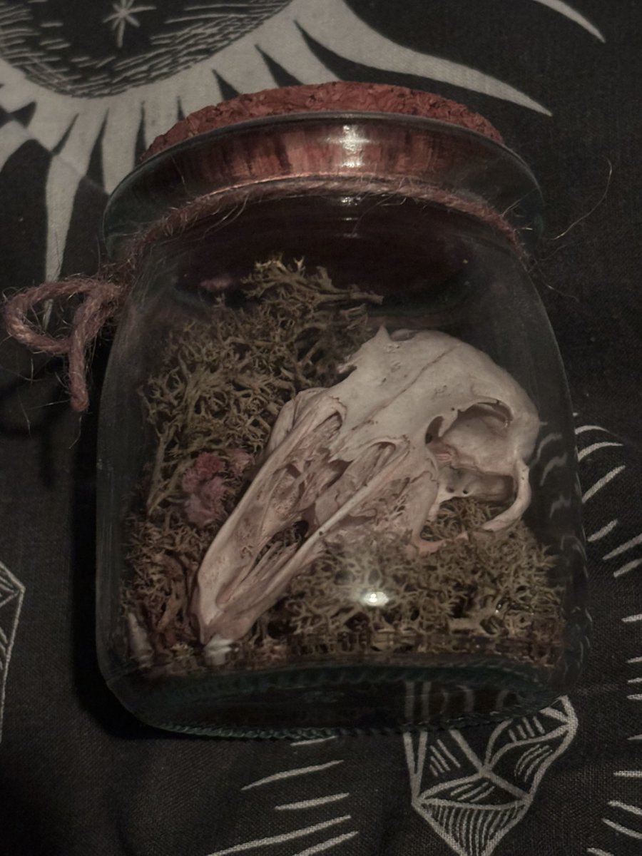 .⋆♱ 𝐄𝐧𝐟𝐞𝐫. ✮ tweet media