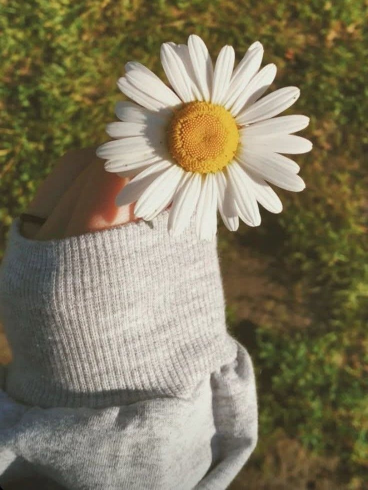 Rafael Antonio tweet media