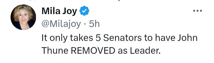 Made In America, Defend & Protect Our Constitution tweet media