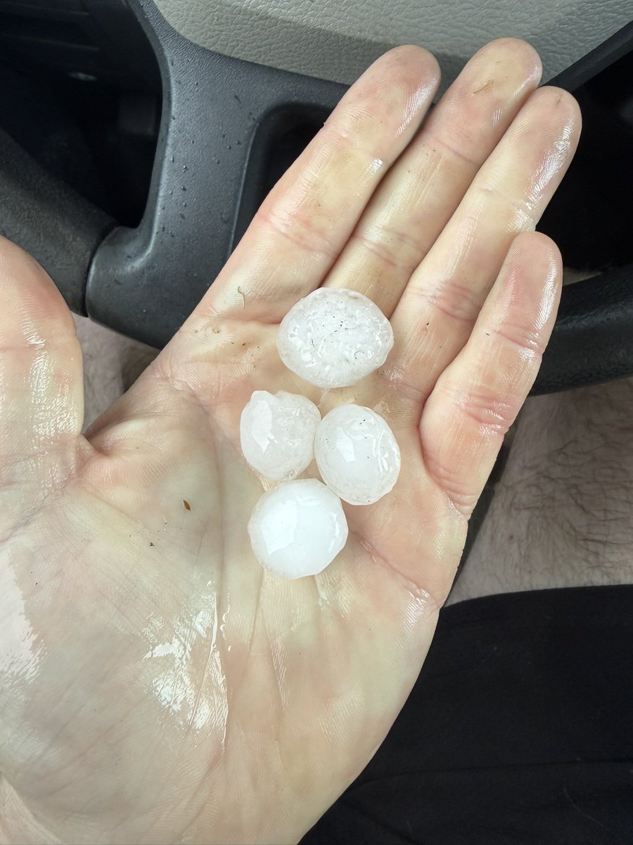 Alex Pickman tweet media