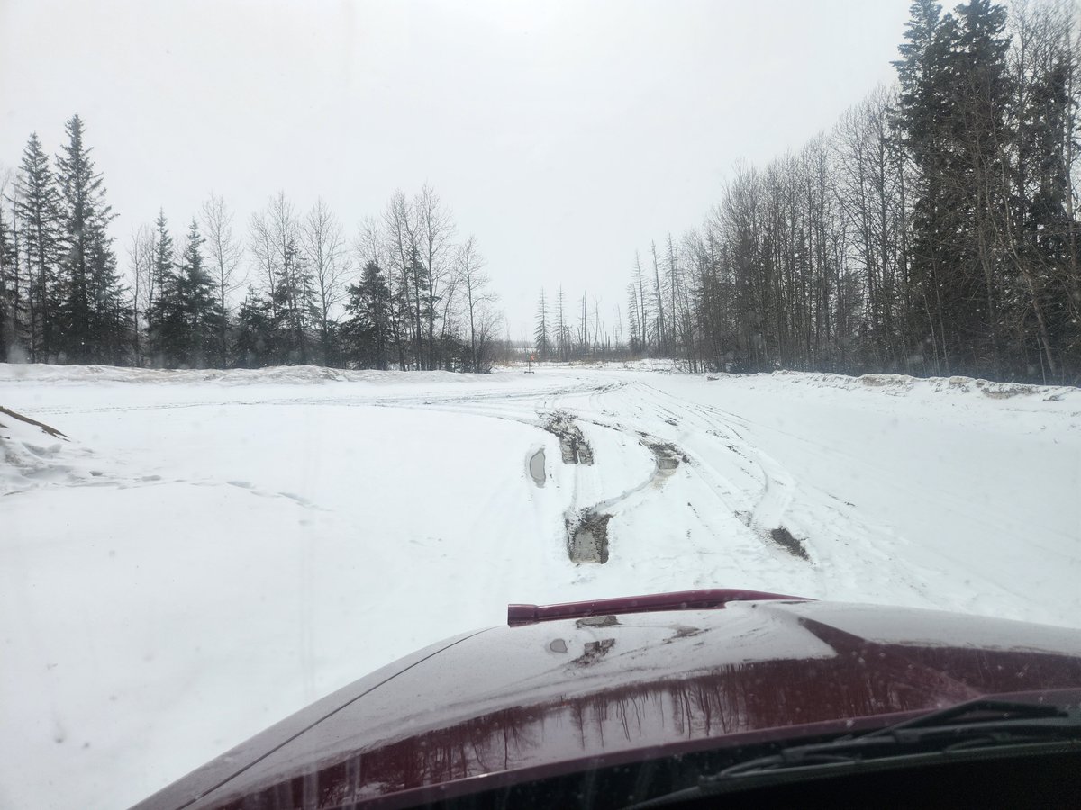 Shagrath: "The freest of men fly no colors at all" tweet media