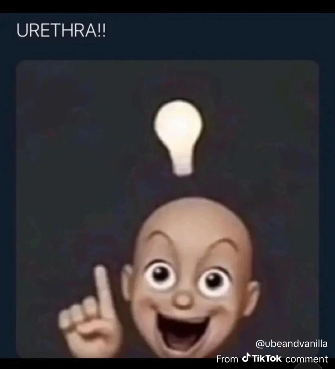 kaya 🪽 tweet media