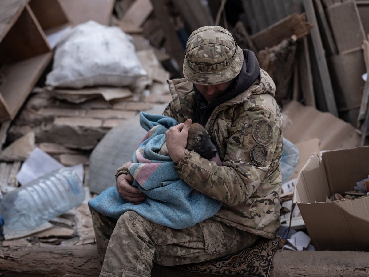 Пухнастий українобот 🇺🇦⚓️ tweet media