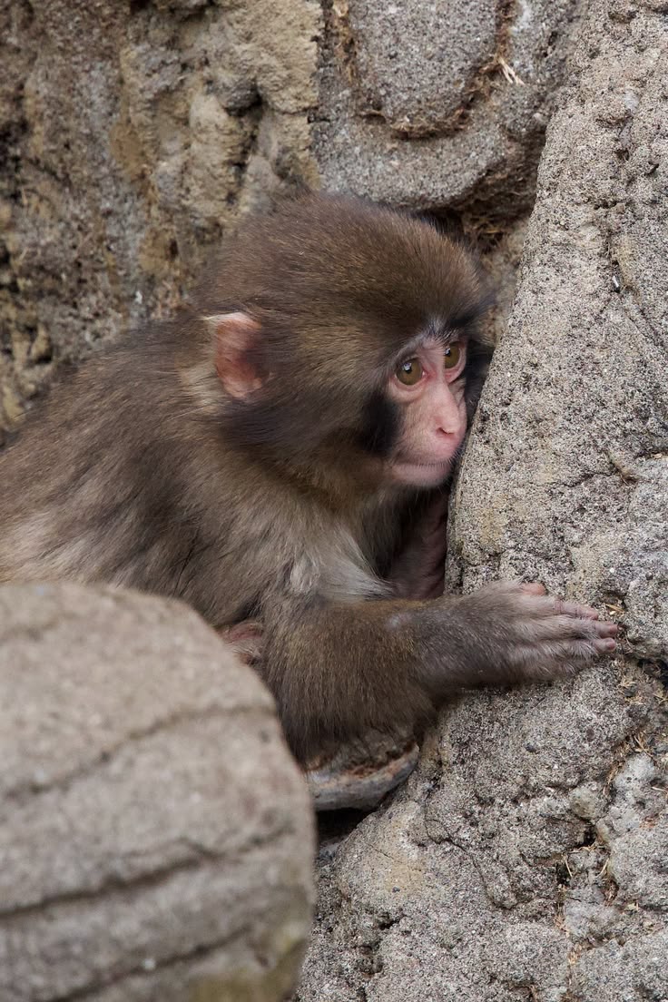 Beautiful views (@magicalnature5) on Twitter photo 