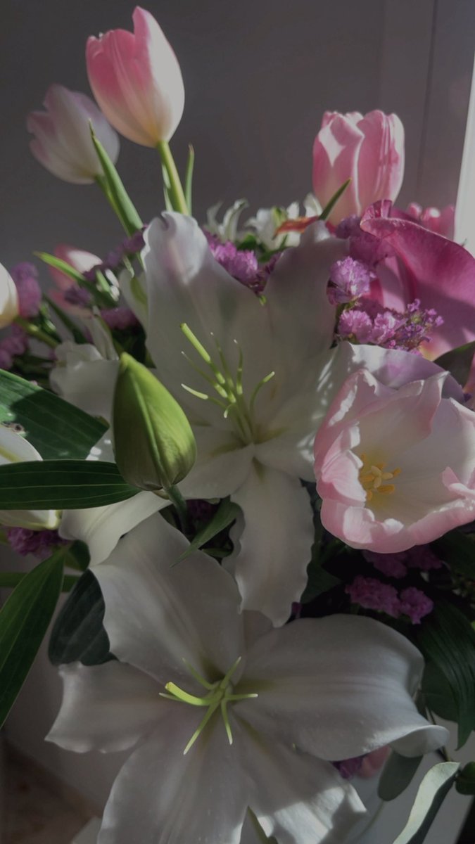https_flwercat's tweet photo. 🌸🌷✨ https://t.co/bfEcsacQFO