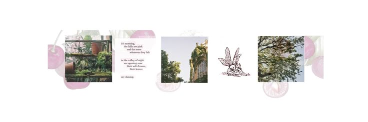 Linette. tweet media