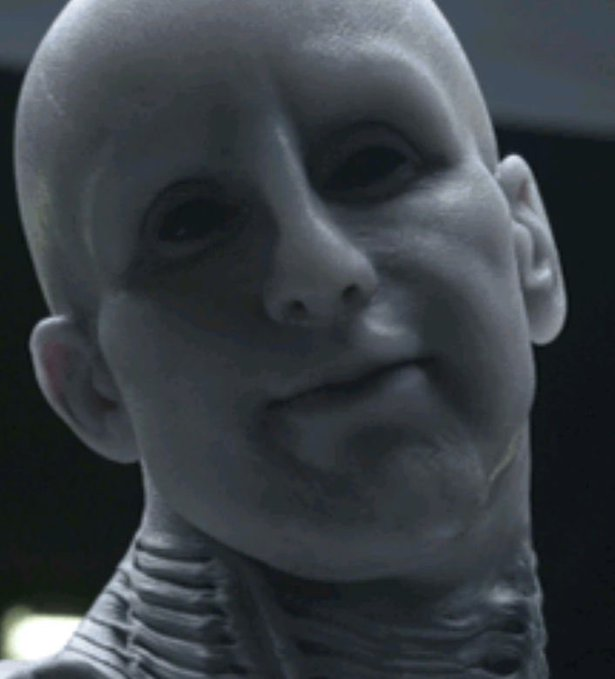 Not Gay nor Black tweet media