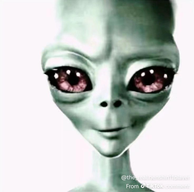 FlextapePoptart3 tweet media