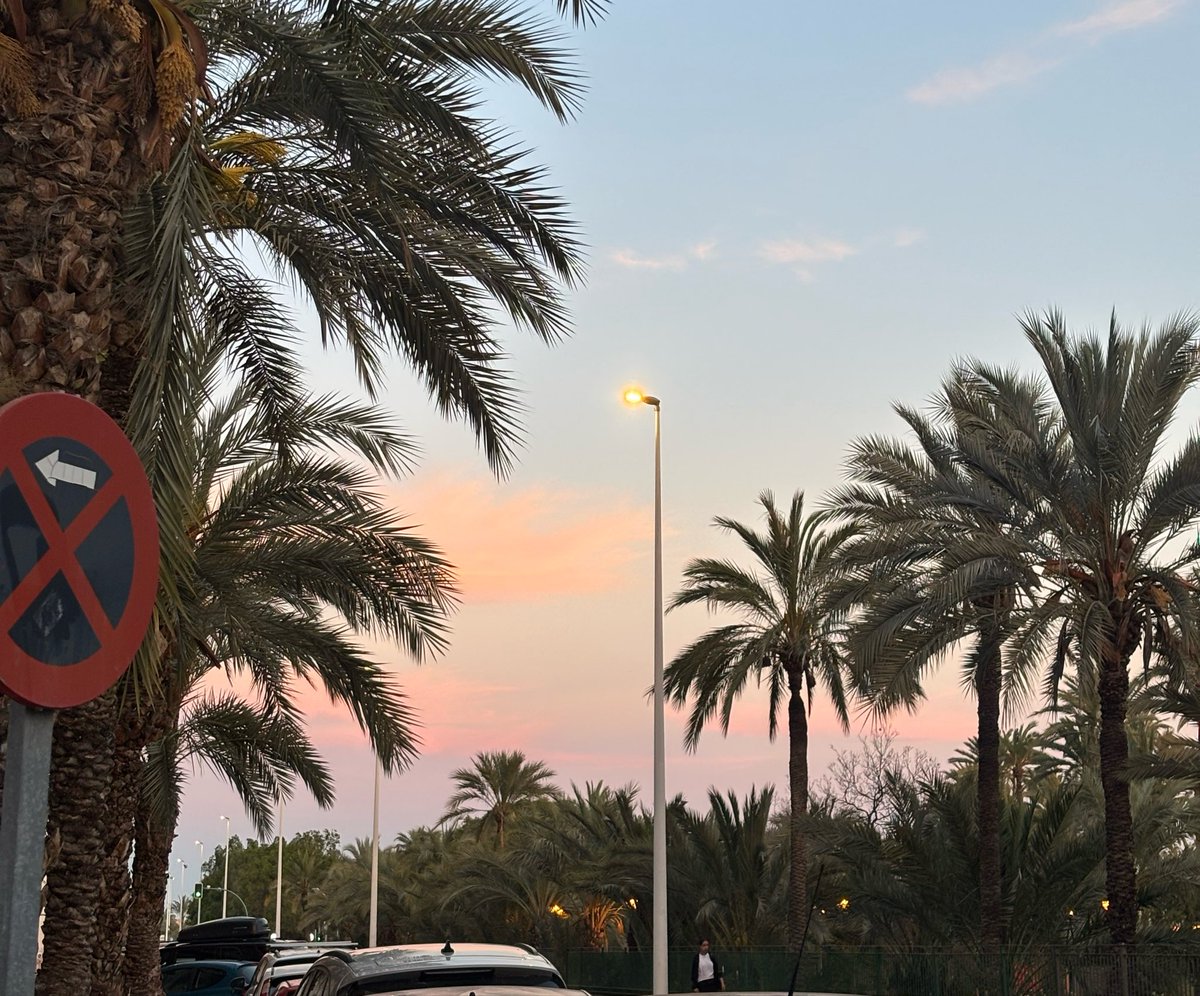 walahiidk's tweet image. A soft 10/10 kind of day 🥰💐🪽
#lovelife #happyme