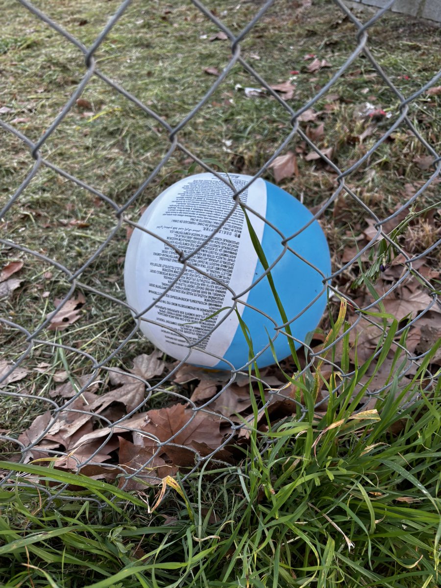 David A.🎗 tweet media