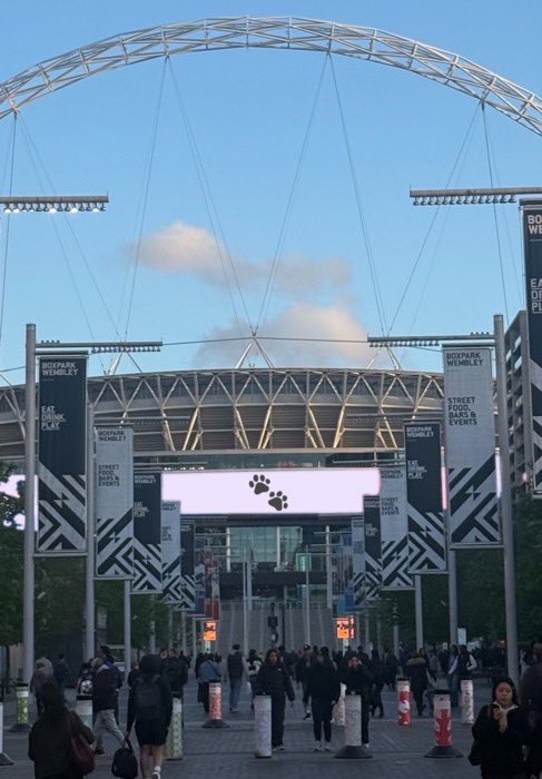 Kush ❤️🔥 tweet media