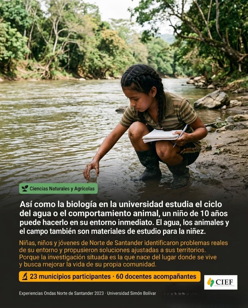 CIEF_UNISIMON's tweet photo. En 2023, niñas, niños y jóvenes de 23 municipios de Norte de Santander hicieron algo extraordinario: investigaron los problemas de sus propios territorios y propusieron soluciones reales. 🔬
1.625 estudiantes. 67 proyectos. 5 líneas de investigación. https://t.co/iMp4R4bSNy
