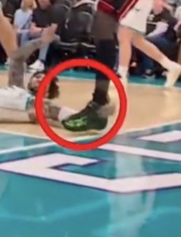 🐻Vanzu Native 🐻 tweet media