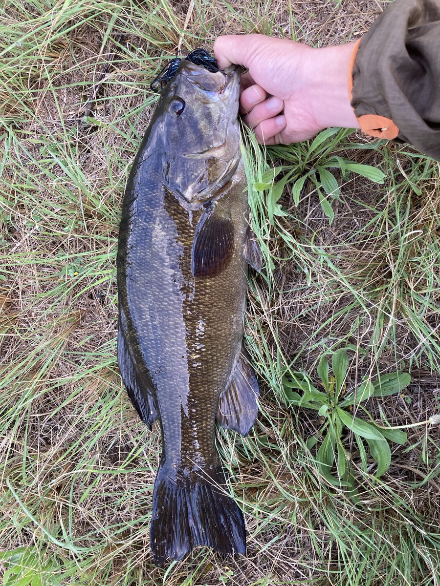 川越アングラー tweet media