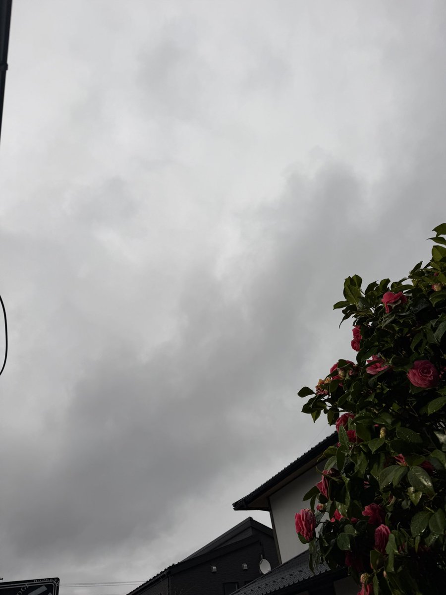 marurin co,Ltd tweet media