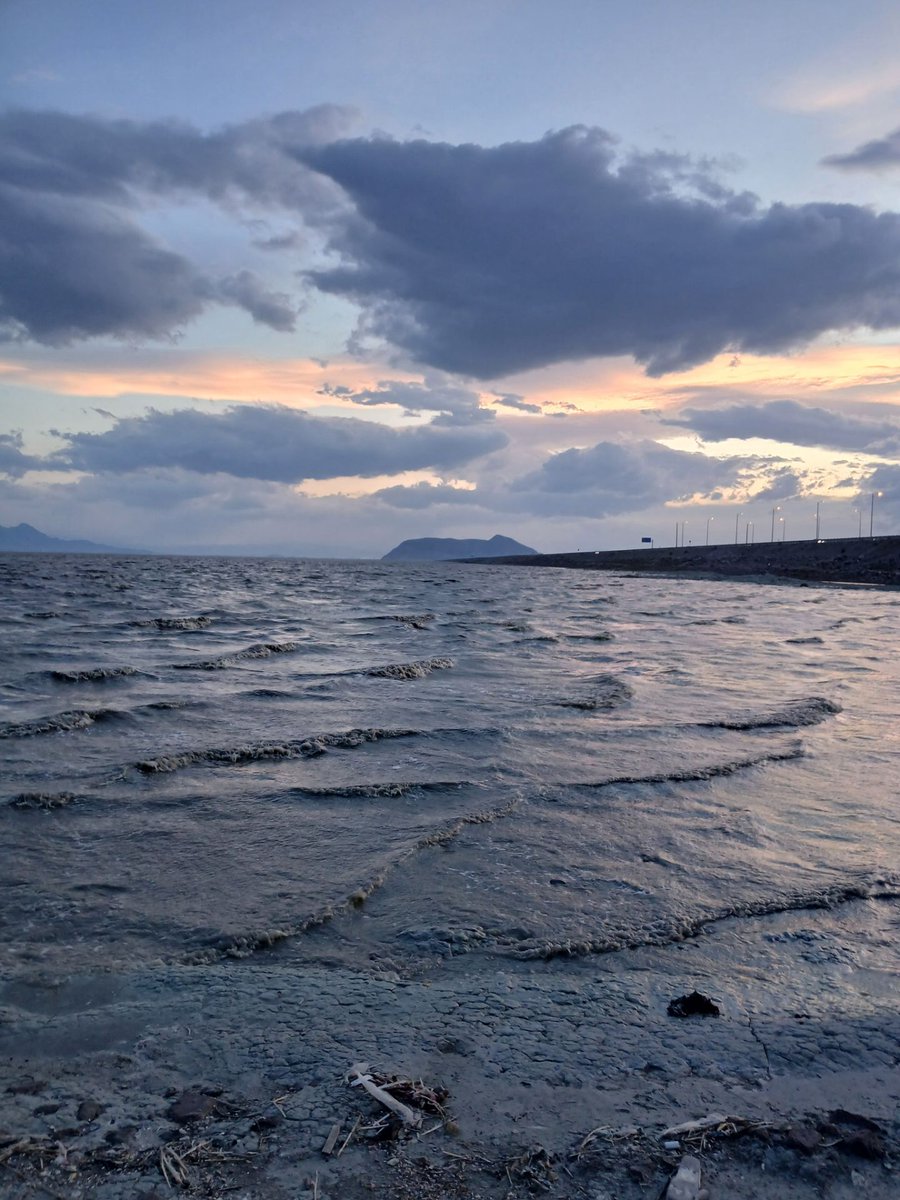 سِوین.ایـرانـی tweet media