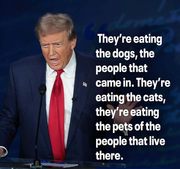 doghimself tweet media