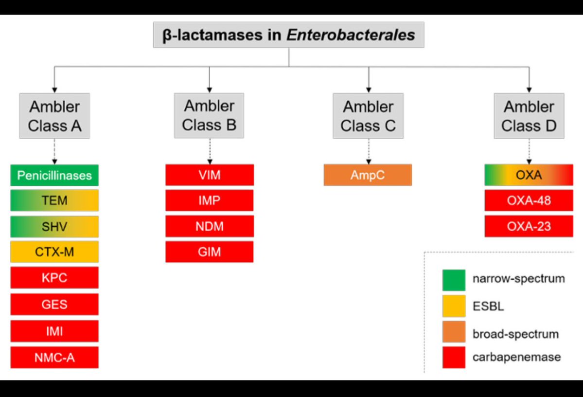 Antibiotic Steward Bassam Ghanem 🅱️C🆔🅿️🌟 tweet media