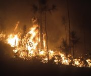 INAD RODRÍGUEZ tweet media