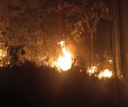 INAD RODRÍGUEZ tweet media