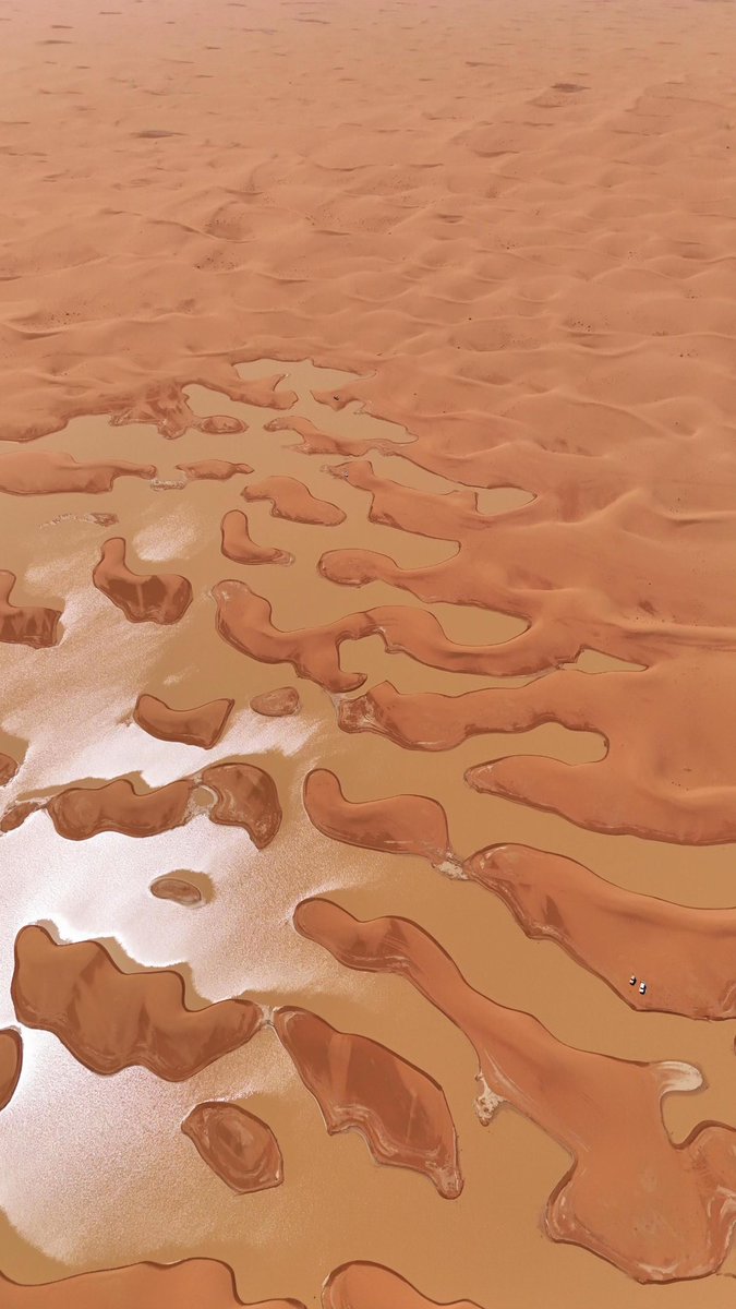 مس ناني tweet media