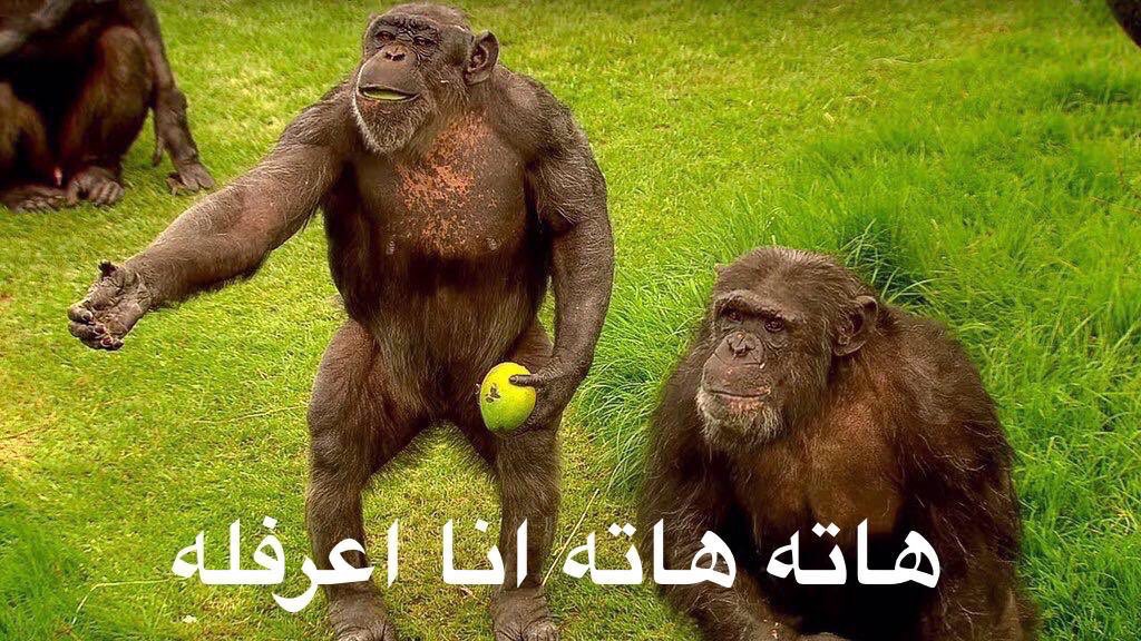 Khaled 🍑 tweet media