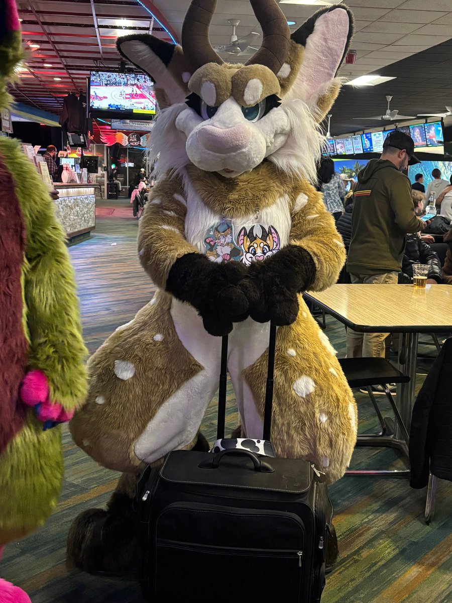DelestWolf's tweet photo. @MoreFurLess Heya! I own this suit now and just wanted to know where her main tan color fur came from! I found a match for the dark brown, but can’t seem to find that tan/beige color anywhere. Thank you! https://t.co/PoYSGSwTjH