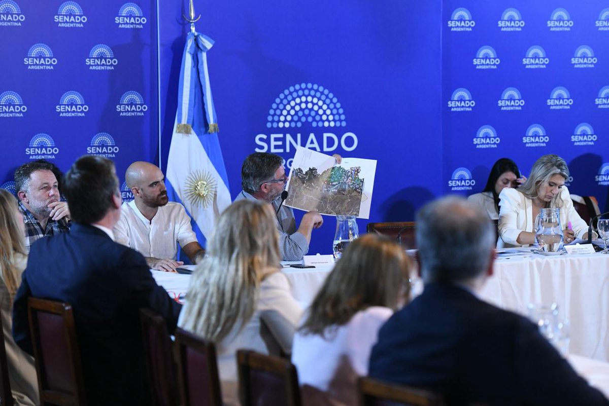 igon_santiago's tweet photo. NO ES LIBERTAD, ES ENTREGA

Hoy expusimos en el Senado contra el proyecto de “inviolabilidad de la propiedad privada” que impulsa el gobierno de Javier Milei.

No es lo que necesita la gente, ni las prioridades de los chubutenses!! https://t.co/y8h7RpSIQU