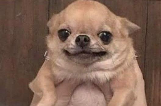 Finn Hudson tweet media