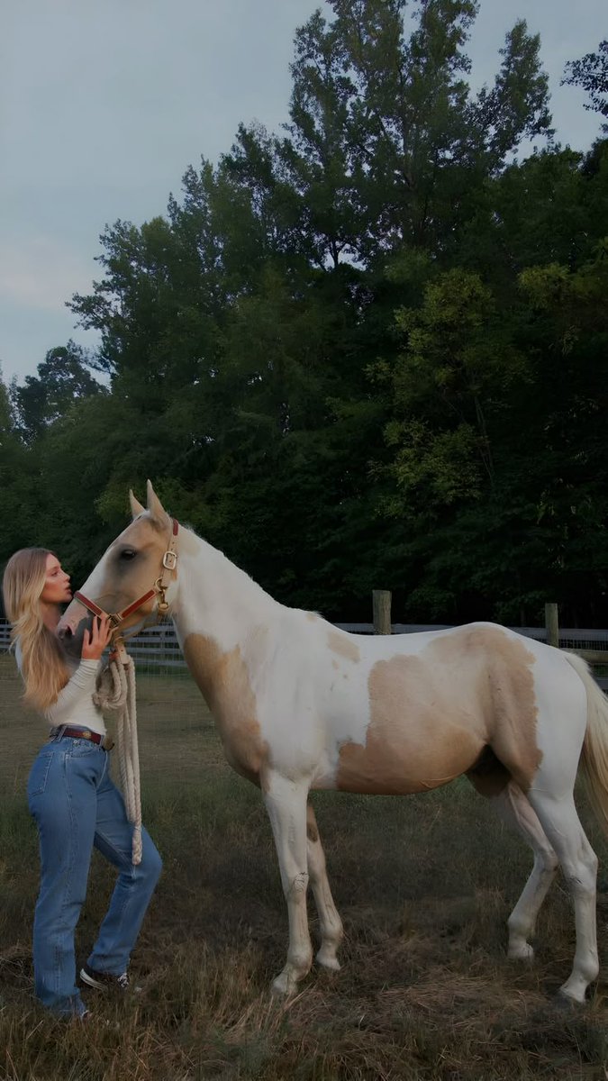 𝗔𝗜𝗧𝗔𝗡𝗔 tweet media