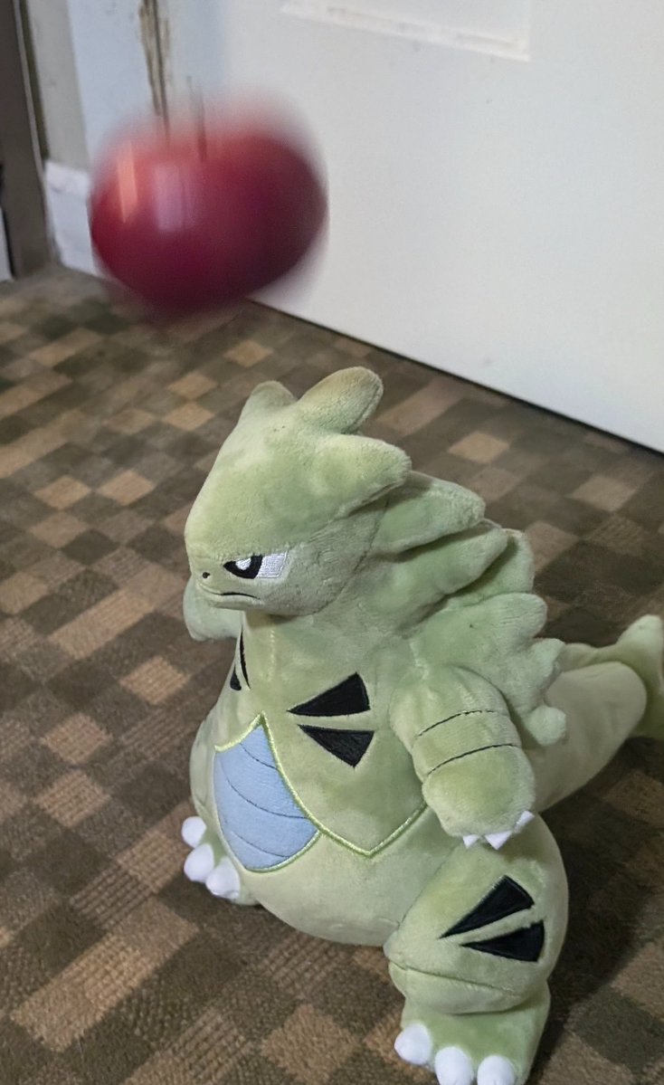 🍉Archesuchus🪶 tweet media