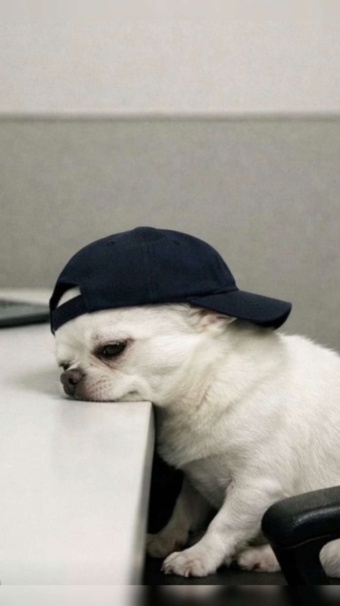 PaigeyJen's tweet photo. Still waiting on $BITCOIN to hit $80k
🚀🚀
#crypto #web3 https://t.co/y0NJj1UMsT