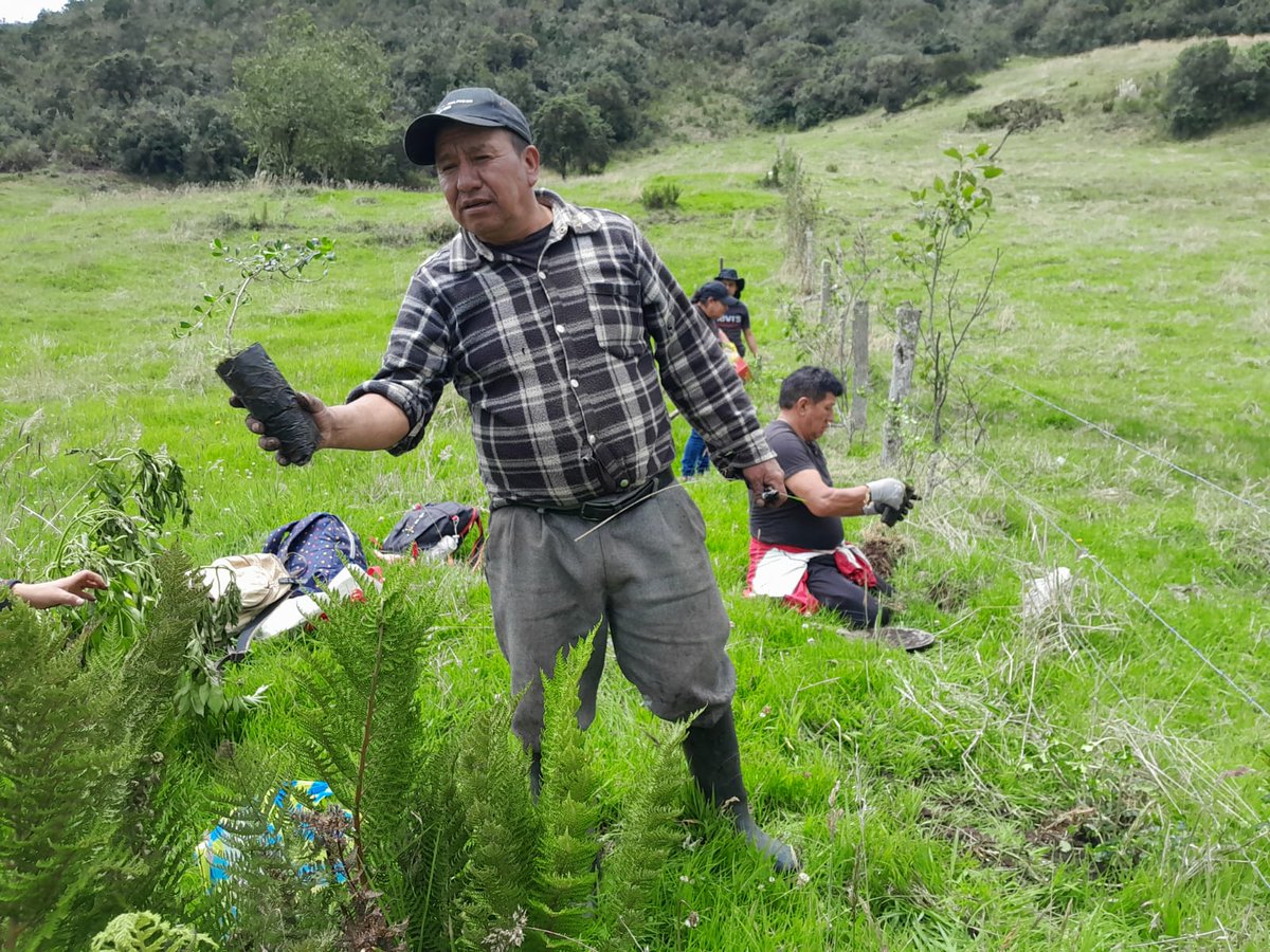 ETAPAOficial's tweet photo. 🤝 Cuidamos las zonas de recarga hídrica junto al GAD de Victoria del Portete y la Junta de Agua de Cumbe.

🌿💧 En minga junto a las brigadas forestales de Cumbe y Victoria del Portete, entregamos 300 plantas y brindamos asesoría para cuidar nuestras fuentes de agua.

🤝🌱 Así protegemos el entorno y fortalecemos la preparación comunitaria ante emergencias. 🚨🌳

#ElAguaEsVida 🩵
@czamoramatute 
@GADCumbe 
@GADVPortete