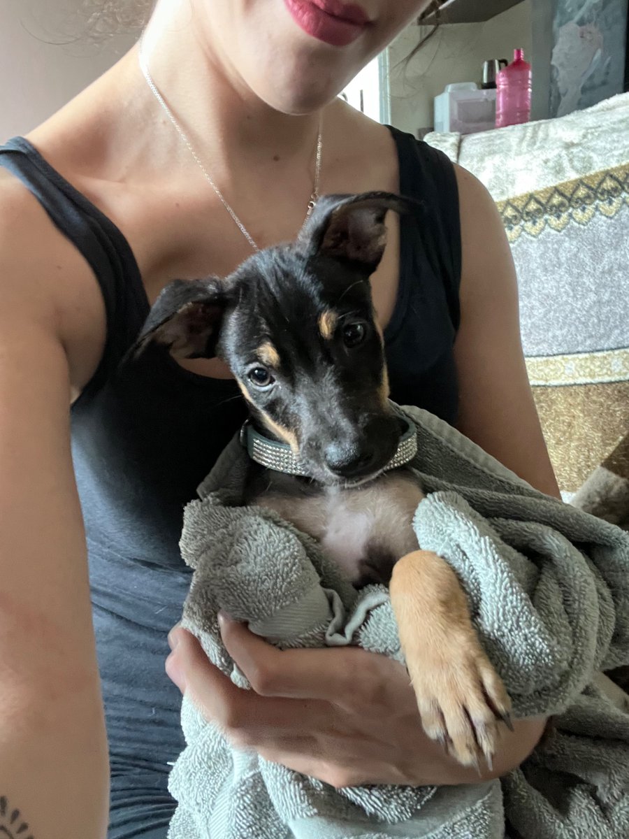 🎨Artsy M*rxist 🎨 (commissions closed) tweet media